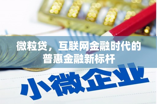 南安微粒贷，互联网金融时代的普惠金融新标杆