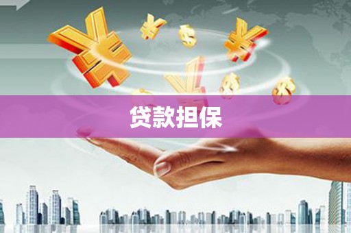 南安贷款担保