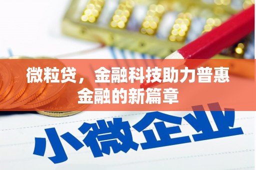 南安微粒贷，金融科技助力普惠金融的新篇章