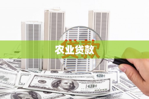 南安农业贷款