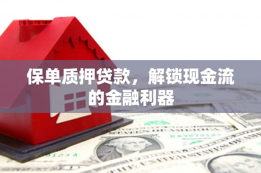 南安保单质押贷款，解锁现金流的金融利器