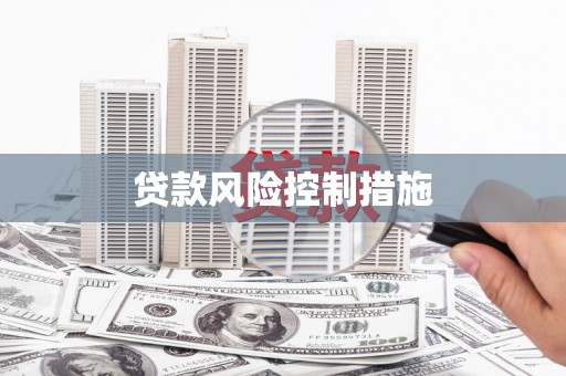南安贷款风险控制措施