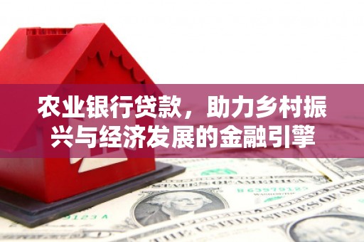 南安农业银行贷款，助力乡村振兴与经济发展的金融引擎
