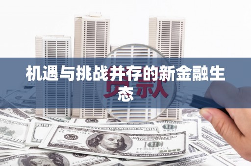 南安机遇与挑战并存的新金融生态