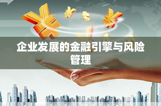南安企业发展的金融引擎与风险管理