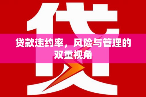 南安贷款违约率，风险与管理的双重视角