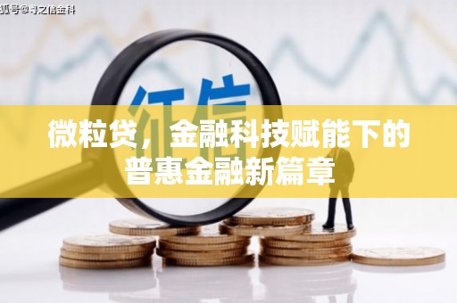 南安微粒贷，金融科技赋能下的普惠金融新篇章