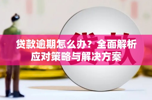 南安贷款逾期怎么办？全面解析应对策略与解决方案