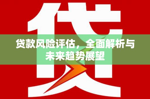 南安贷款风险评估，全面解析与未来趋势展望