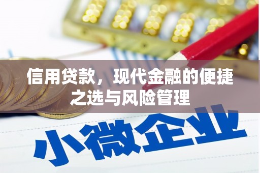 南安信用贷款，现代金融的便捷之选与风险管理