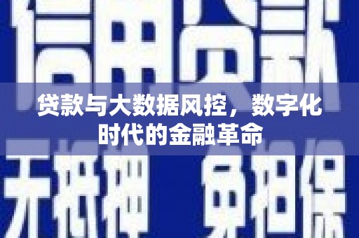 南安贷款与大数据风控，数字化时代的金融革命