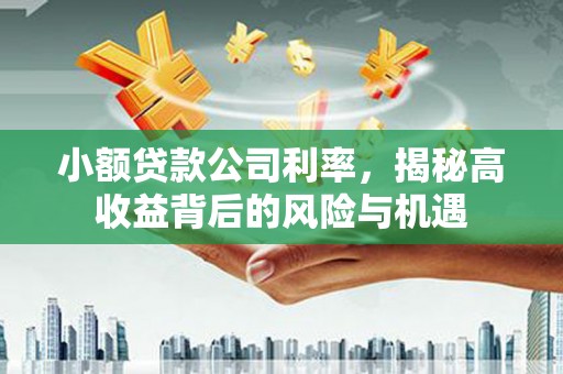 南安小额贷款公司利率，揭秘高收益背后的风险与机遇