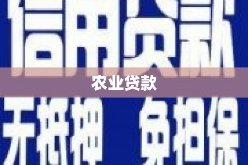 南安农业贷款