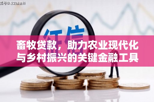 南安畜牧贷款，助力农业现代化与乡村振兴的关键金融工具
