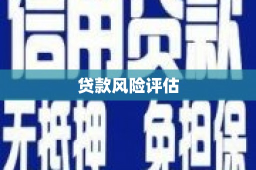 南安贷款风险评估