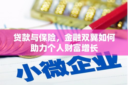 南安贷款与保险，金融双翼如何助力个人财富增长