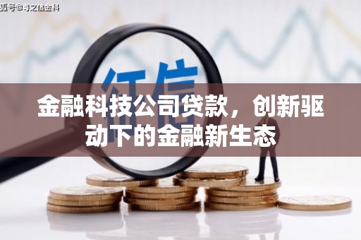 南安金融科技公司贷款，创新驱动下的金融新生态