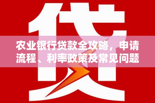 南安农业银行贷款全攻略，申请流程、利率政策及常见问题解析