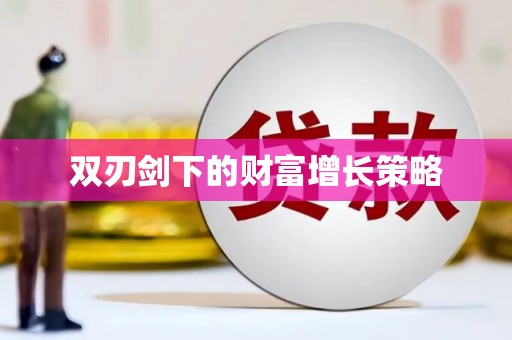 南安双刃剑下的财富增长策略