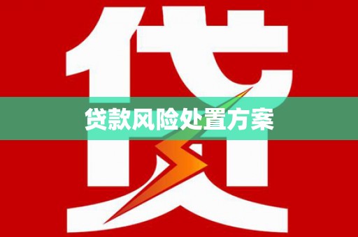 南安贷款风险处置方案