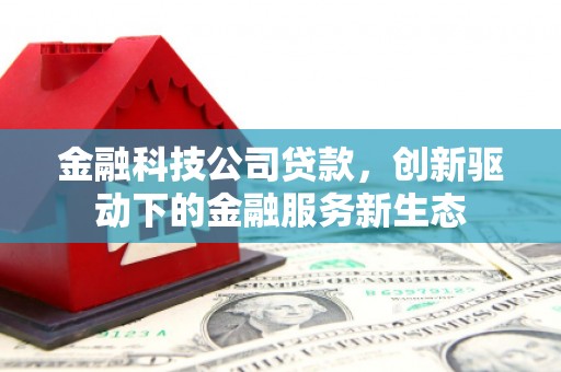 南安金融科技公司贷款，创新驱动下的金融服务新生态