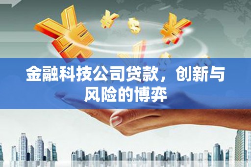 南安金融科技公司贷款，创新与风险的博弈