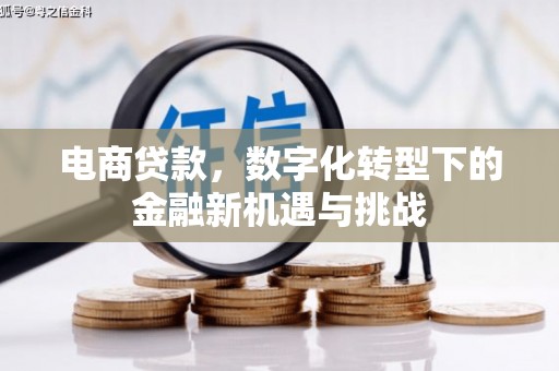 南安电商贷款，数字化转型下的金融新机遇与挑战