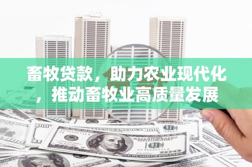 南安畜牧贷款，助力农业现代化，推动畜牧业高质量发展