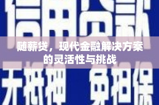南安随薪贷，现代金融解决方案的灵活性与挑战