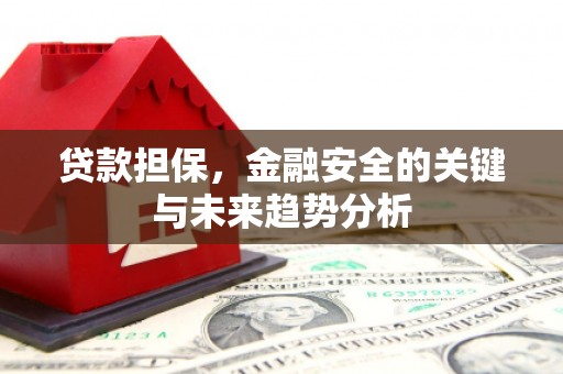 南安贷款担保，金融安全的关键与未来趋势分析