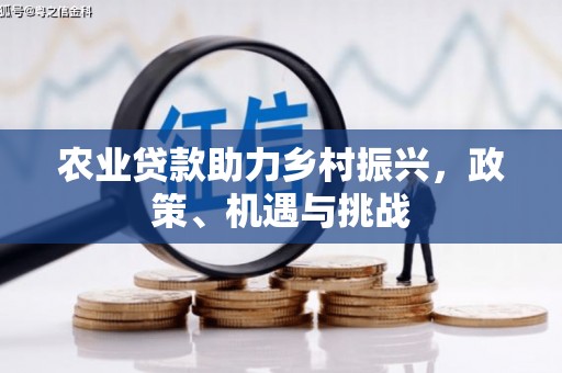 南安农业贷款助力乡村振兴，政策、机遇与挑战