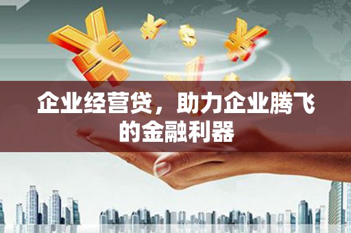 南安企业经营贷，助力企业腾飞的金融利器