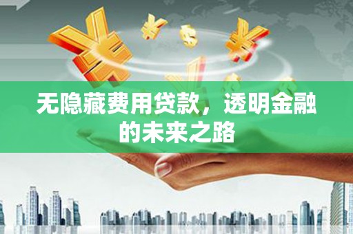 南安无隐藏费用贷款，透明金融的未来之路
