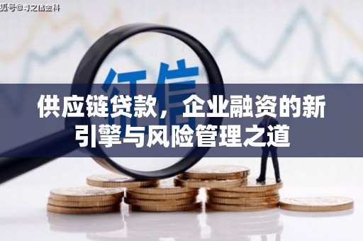 南安供应链贷款，企业融资的新引擎与风险管理之道