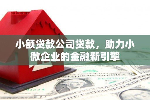南安小额贷款公司贷款，助力小微企业的金融新引擎