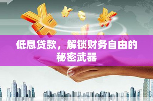 南安低息贷款，解锁财务自由的秘密武器
