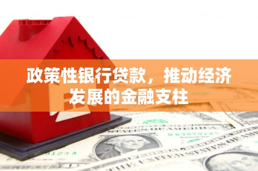 南安政策性银行贷款，推动经济发展的金融支柱