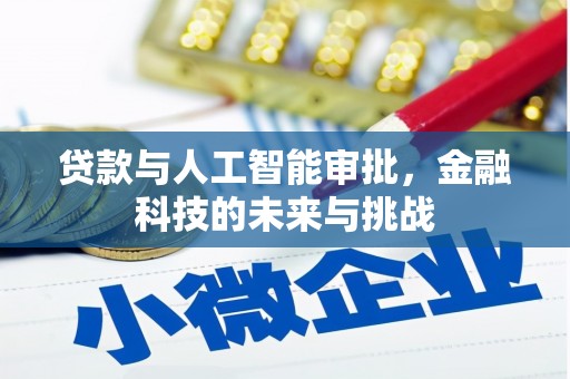 南安贷款与人工智能审批，金融科技的未来与挑战