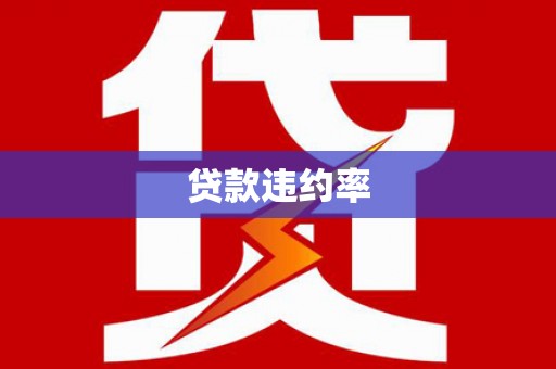 南安贷款违约率