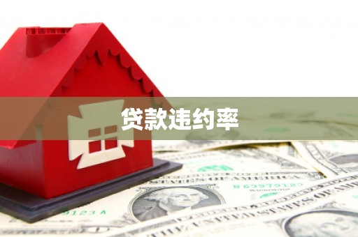 南安贷款违约率