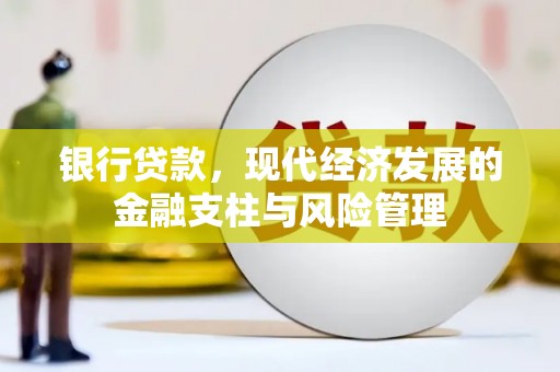 南安银行贷款，现代经济发展的金融支柱与风险管理