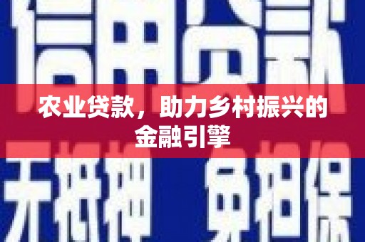 南安农业贷款，助力乡村振兴的金融引擎