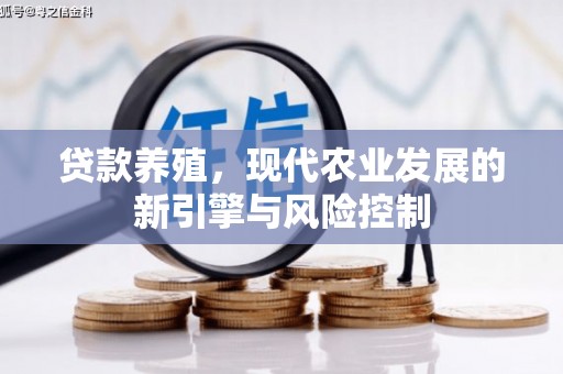 南安贷款养殖，现代农业发展的新引擎与风险控制