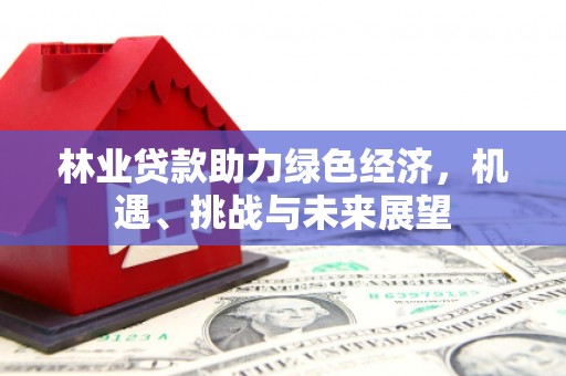 南安林业贷款助力绿色经济，机遇、挑战与未来展望