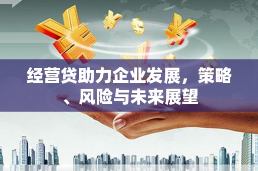 南安经营贷助力企业发展，策略、风险与未来展望