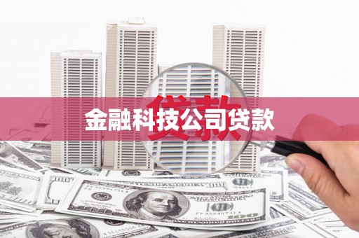 南安金融科技公司贷款