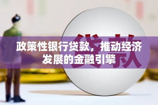 南安政策性银行贷款，推动经济发展的金融引擎