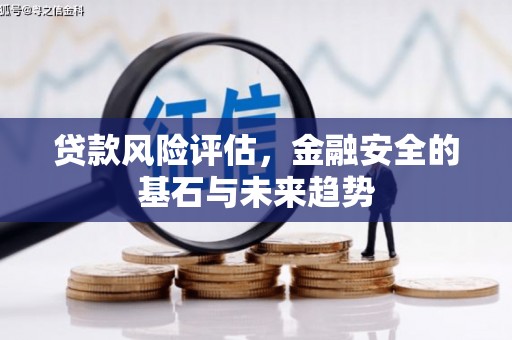 南安贷款风险评估，金融安全的基石与未来趋势