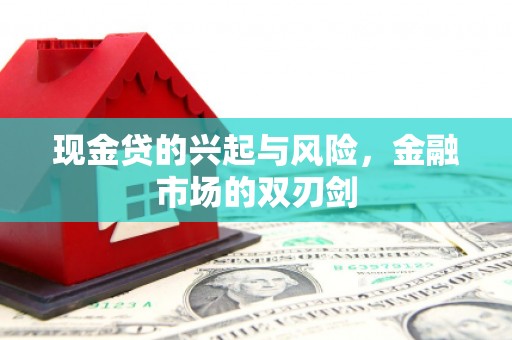 南安现金贷的兴起与风险，金融市场的双刃剑
