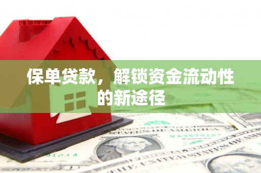 南安保单贷款，解锁资金流动性的新途径